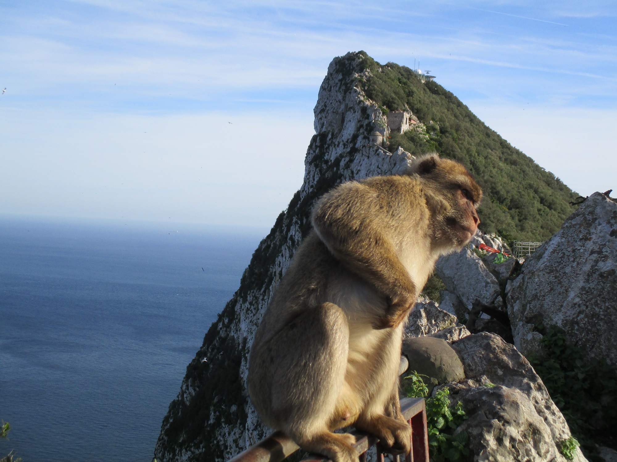  - IGE Erlebnisreisen | 